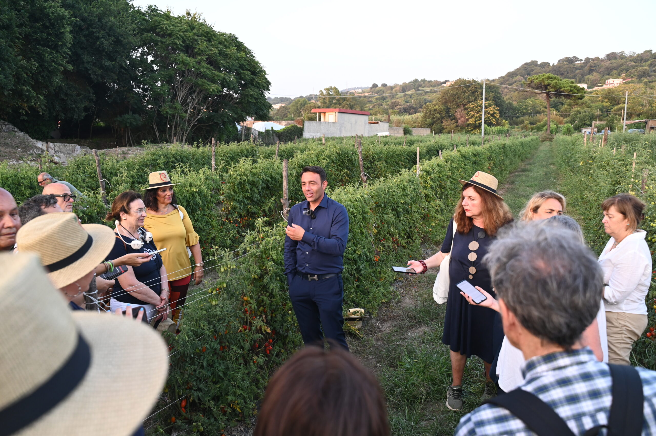IL POMODORO CANNELLINO FLEGREO A CUMA TRA ARCHEOLOGIA, AGRICOLTURA E SAPORI DEI CAMPI FLEGREI